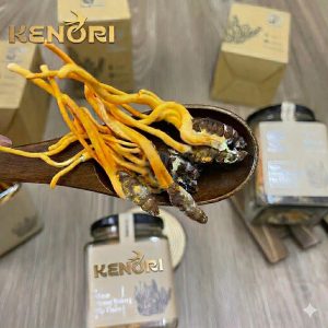 Ký chủ đông trùng hạ thảo sấy thăng hoa - Lọ 10 con