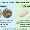 YẾN TINH CHẾ LÀ GÌ? CÁCH PHÂN BIỆT YẾN TINH CHẾ VÀ YẾN THÔ