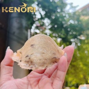Yến tổ thô chưa rút lông - 100gr